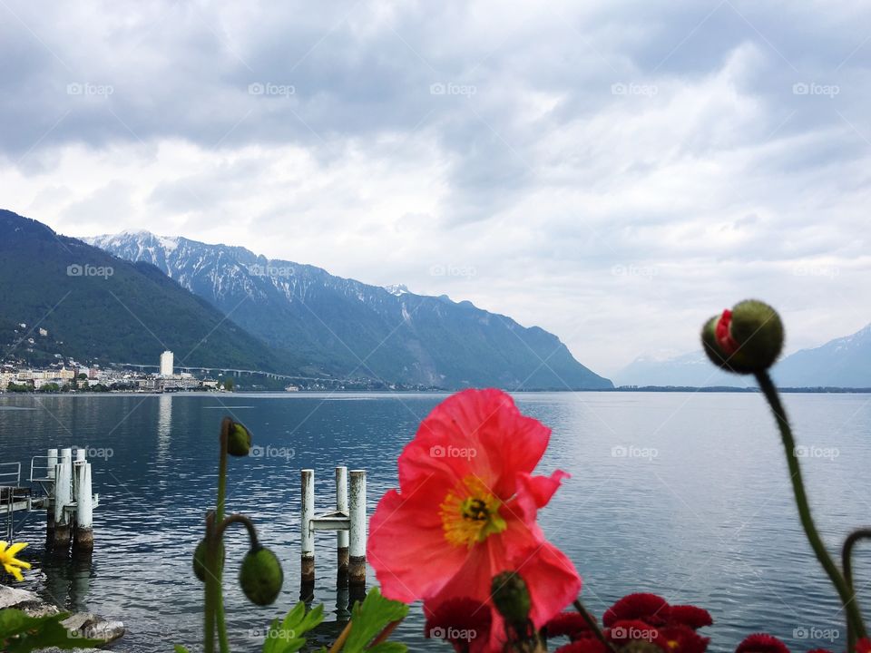 Landscape in Montreux 