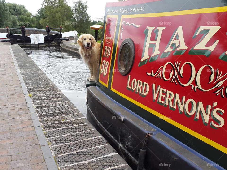 travelling the locks with this happy chap