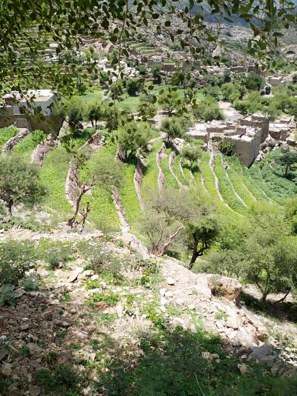 Glory be to God, the magnificent and picturesque view and the natural green trees are a view that is nothing more wonderful than it