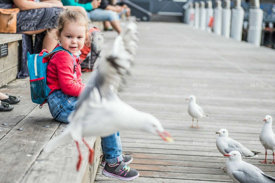 Little girl sitting at harbor watching seagulls