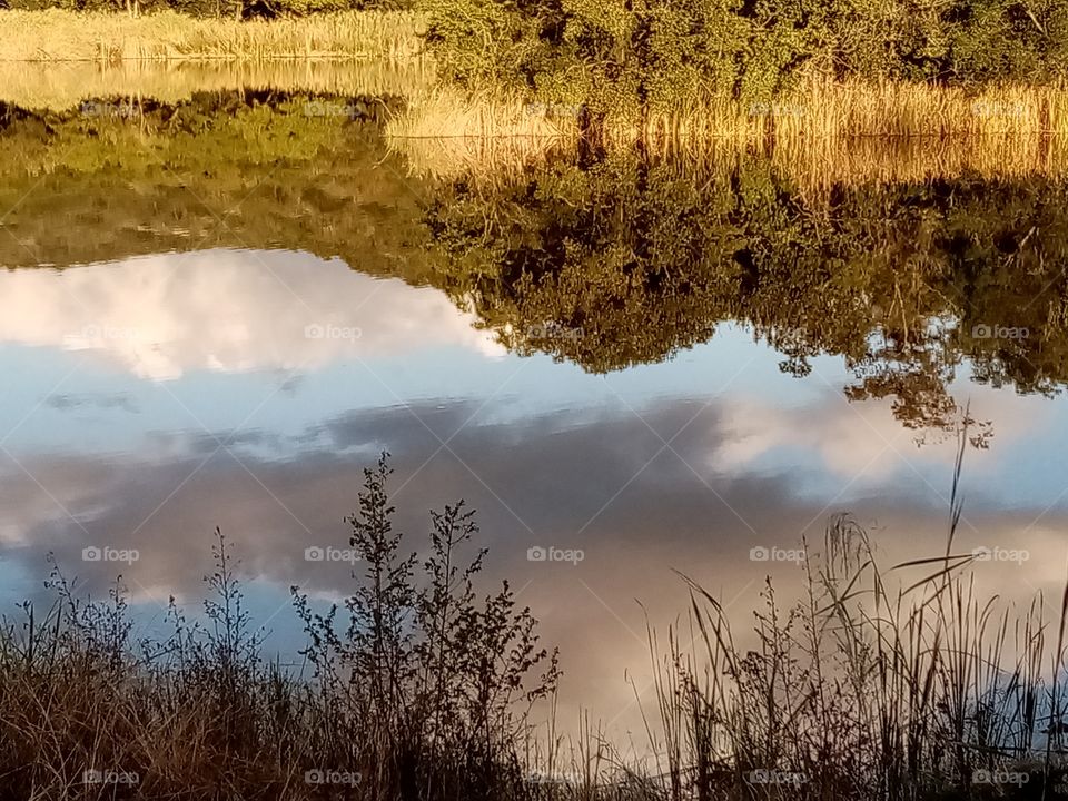 Reflections of nature