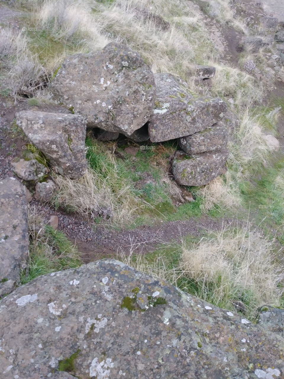 Rock crevice