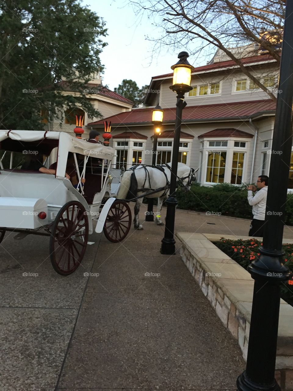 Horse Carriage at Disney World's Port Orleans Riverside.
