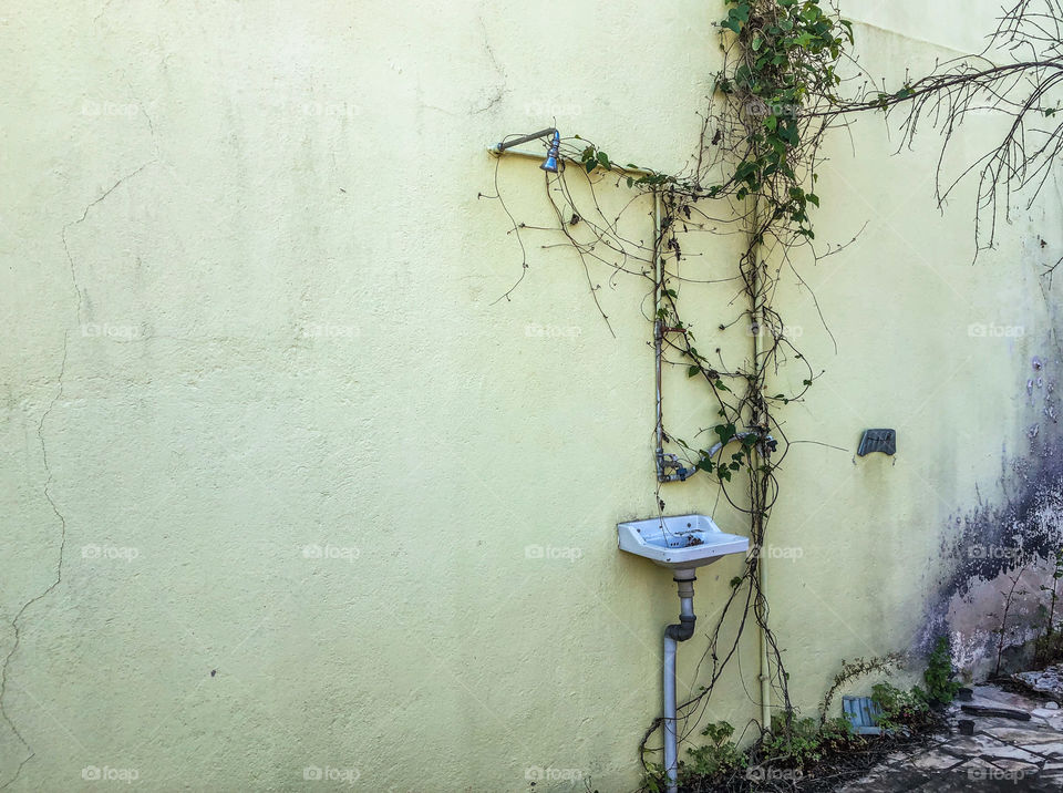 A small sink is placed on a yellow exterior wall, foliage grows around the pipes coming from it.