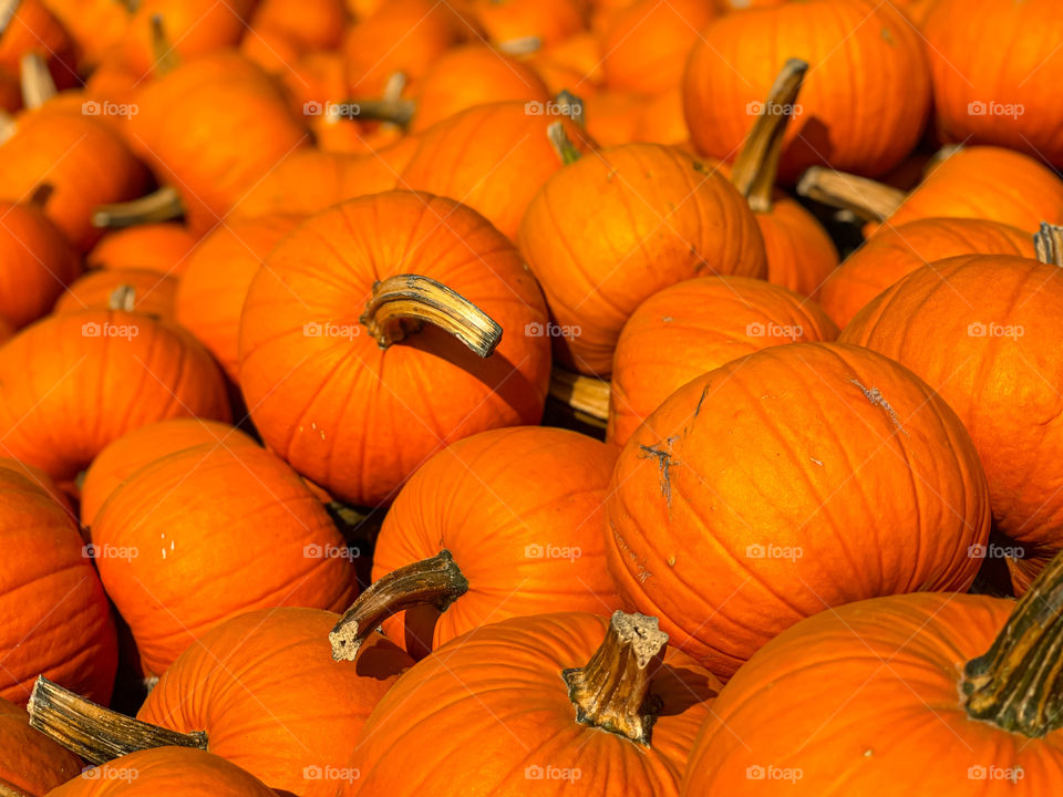 Pumpkins