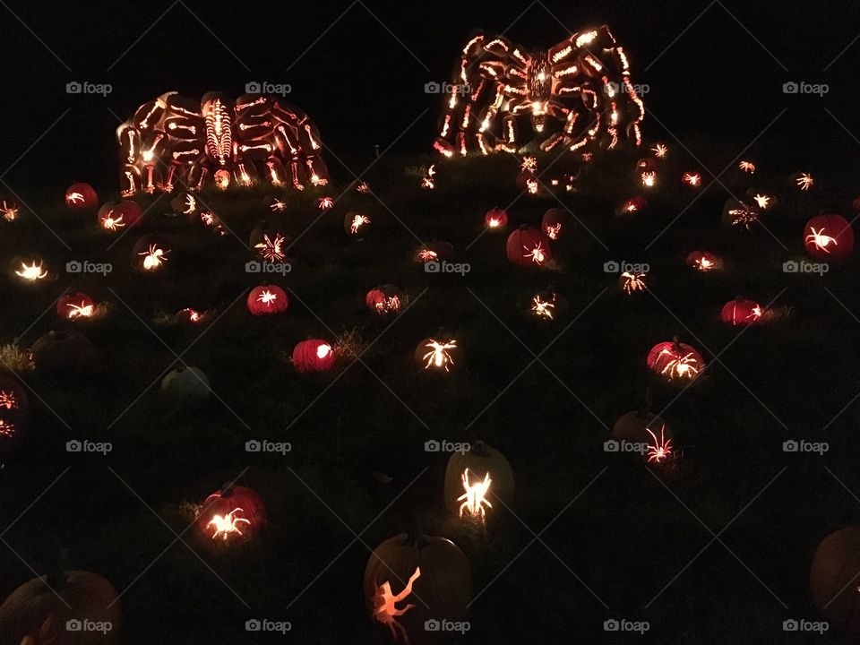 The Great Jack O’Lantern Blaze