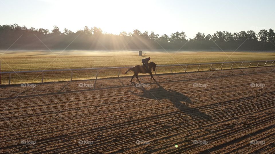 Sunrise Jockey