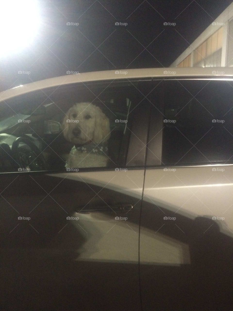 Car, Vehicle, Light, Transportation System, Travel