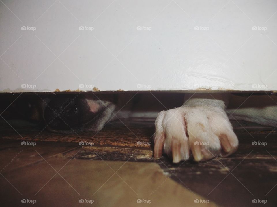 Peek-a-boo I see you 