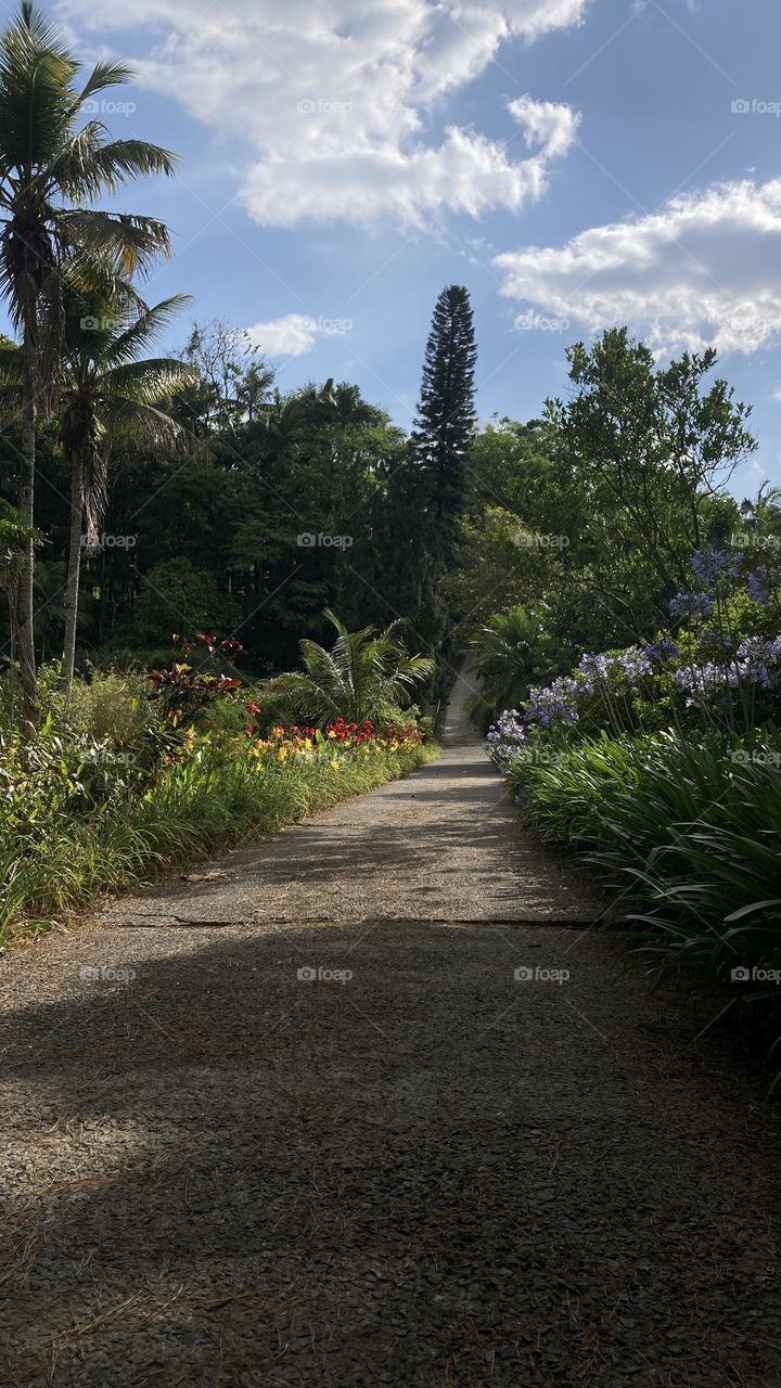 jardim do Anahata