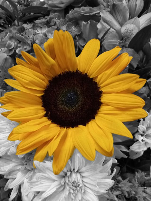 Yellow flower