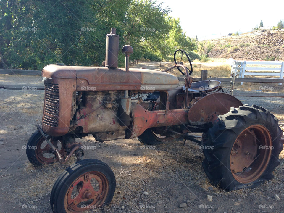 green old farm tractor by melody