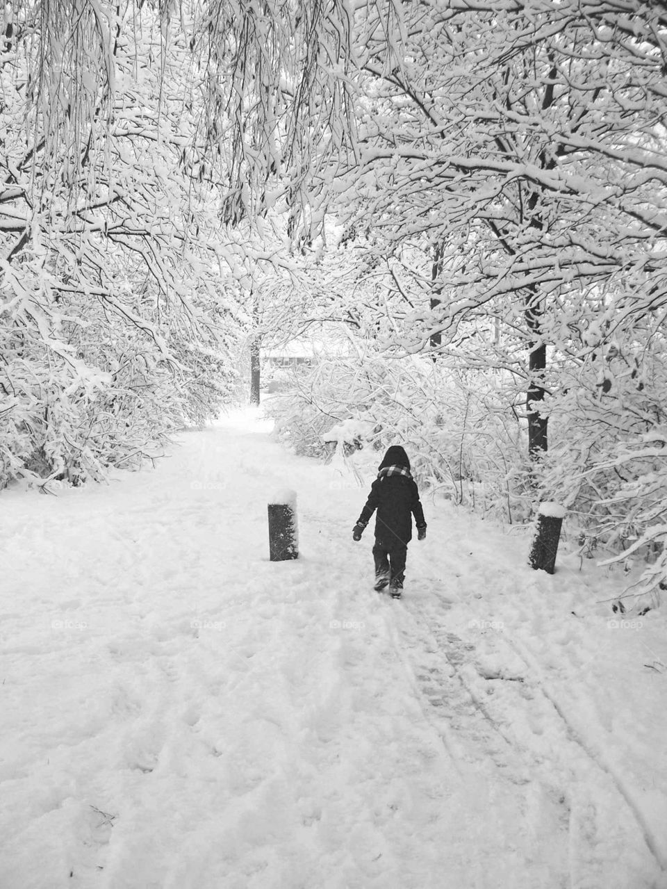 little child walking in the snow landscape