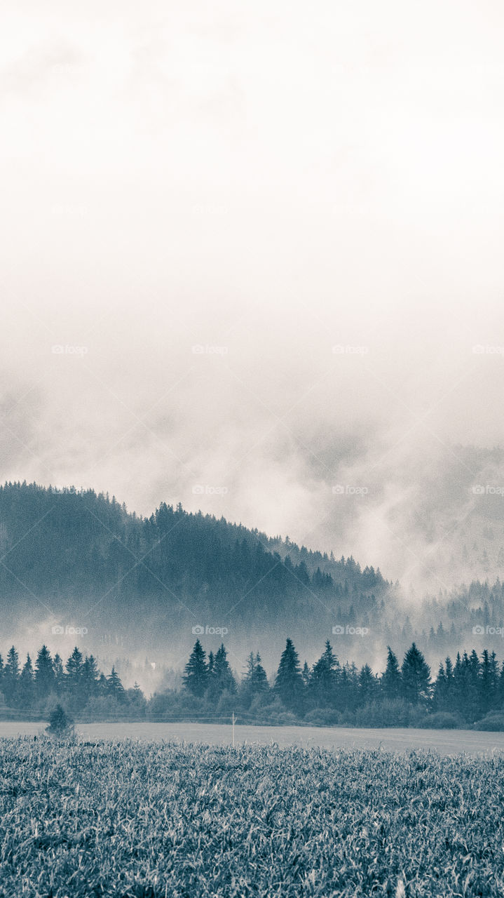 An inspiring mountain landscape. Tatry mountains in Slovakia. A beautiful wallpaper for smartphone screen. Monochrome blue abstract gradient with perspective.