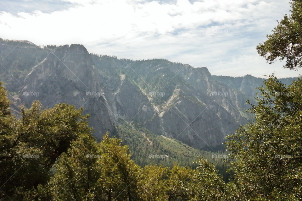 Mountain, Landscape, Wood, Nature, Tree