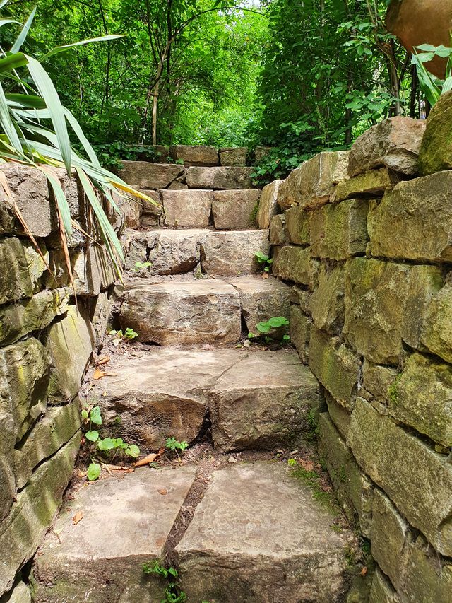 step for step