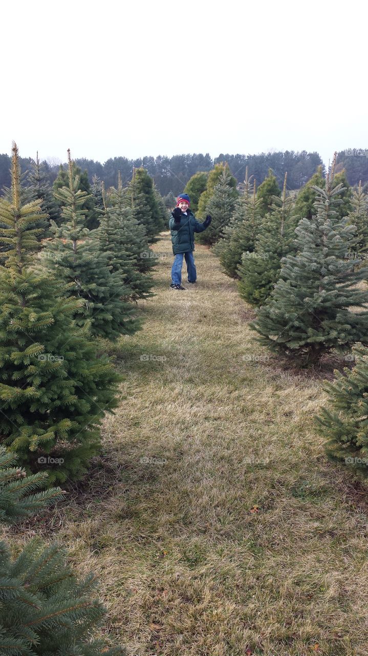 Walk through the trees. on the hunt for a  Christmas tree