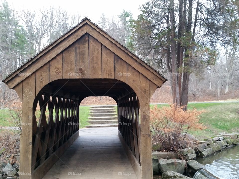 Bridge, Wood, Architecture, No Person, Tree