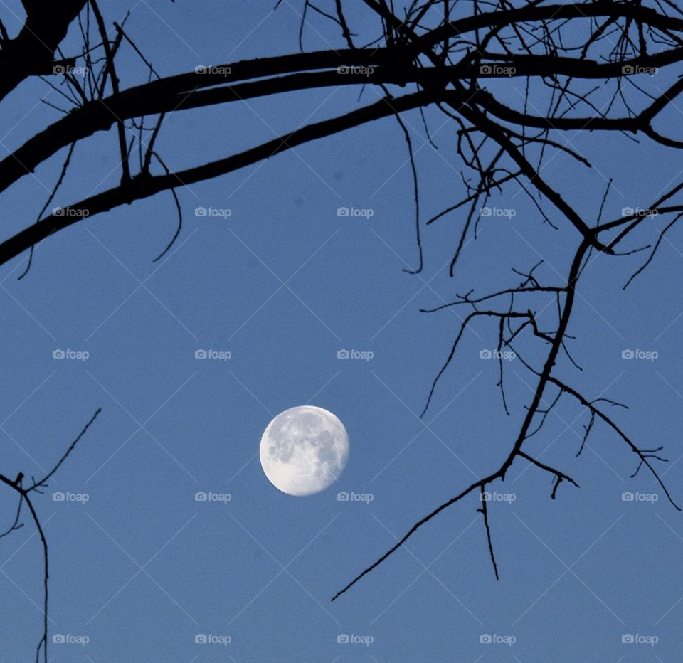 Full moon in a dark blue sky