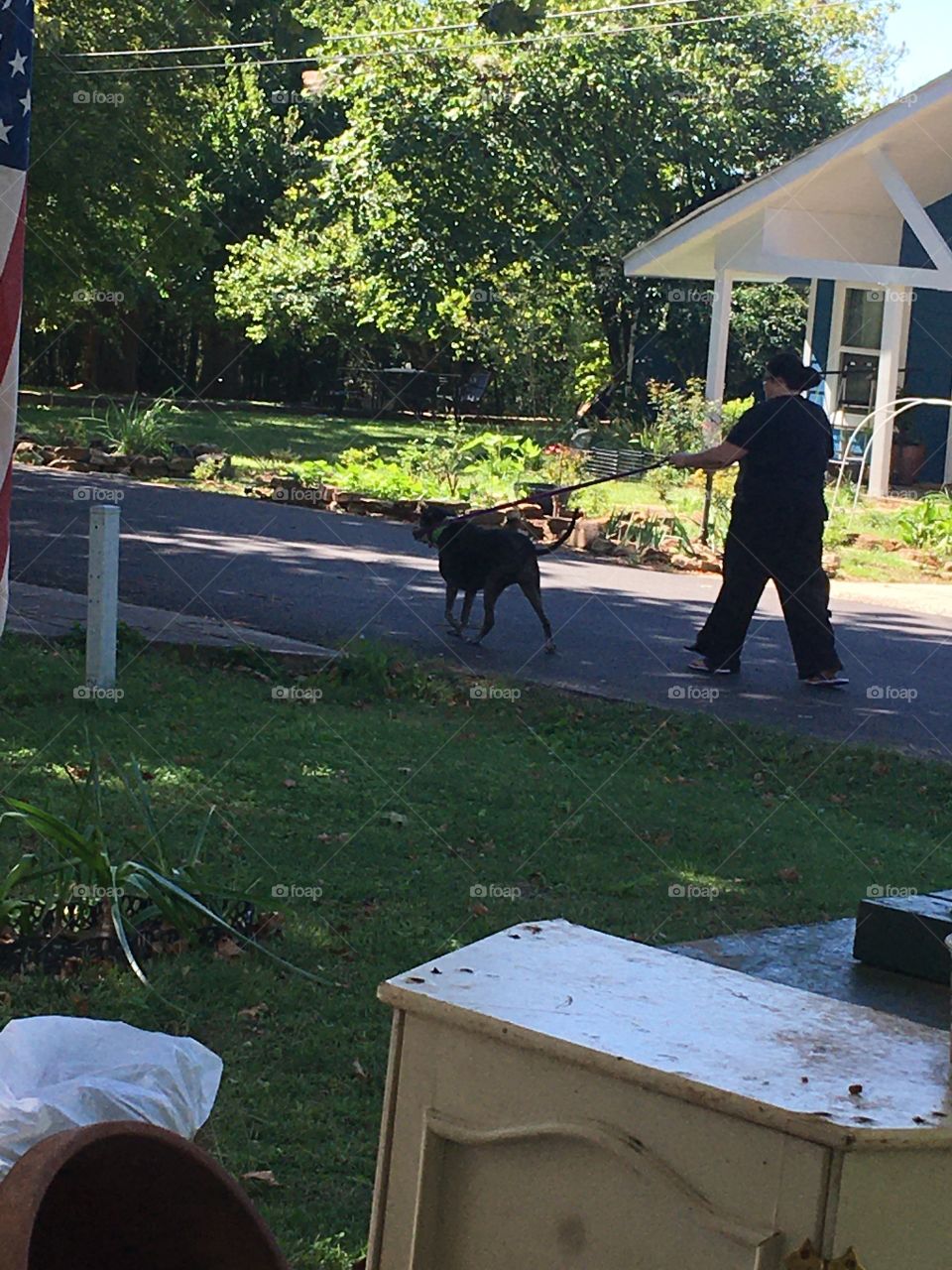 A friend taking Kwanita for a walk she’s feeling better today, it’s a good day today.