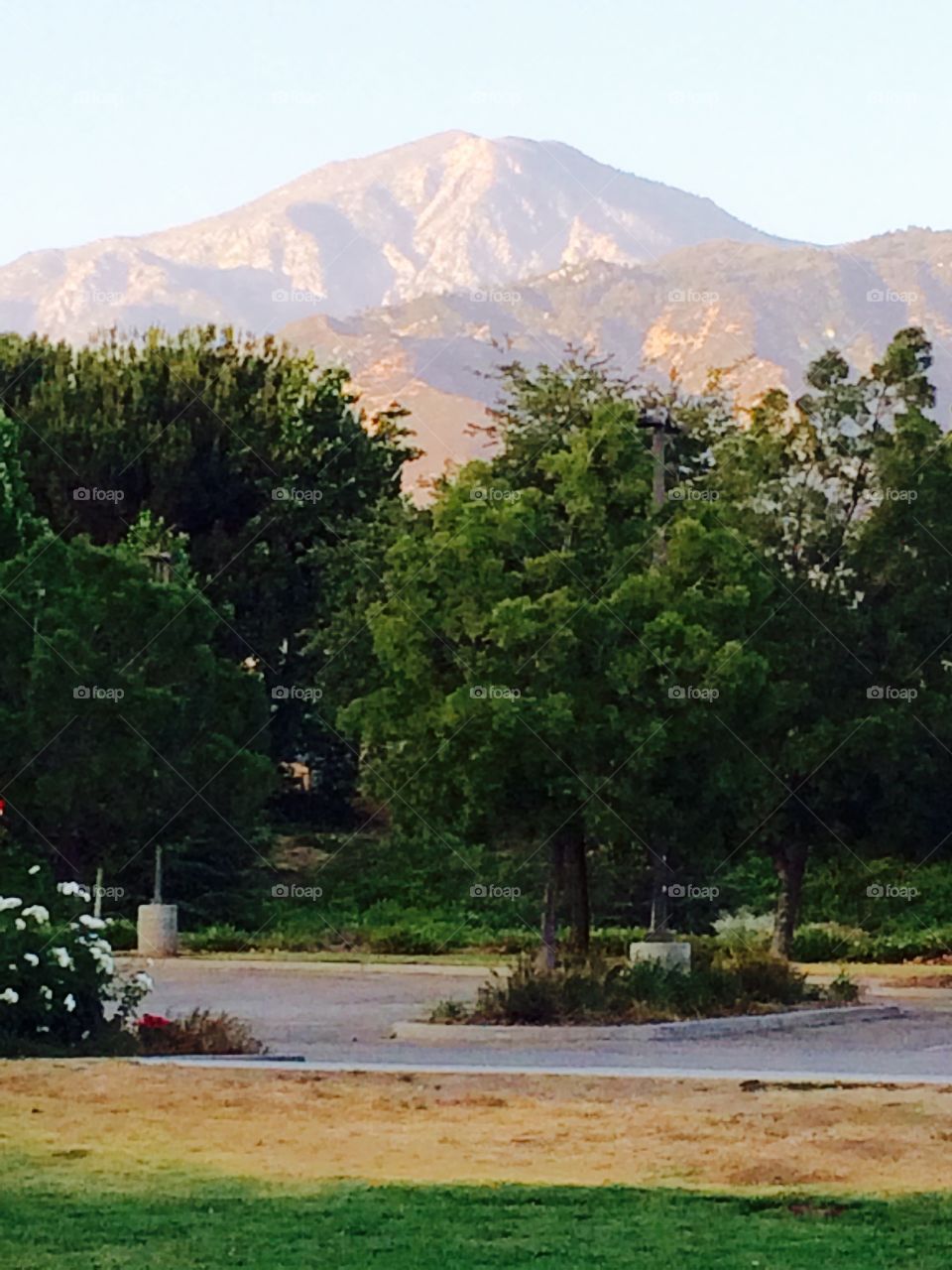 Mountain view at the park