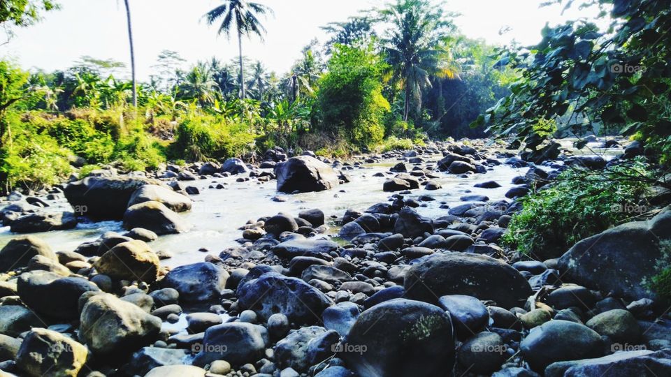 River atmosphere in the afternoon