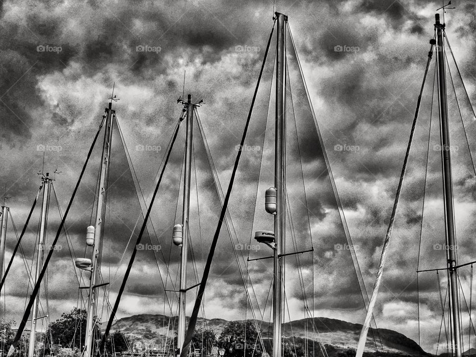 Harbour. Boats 