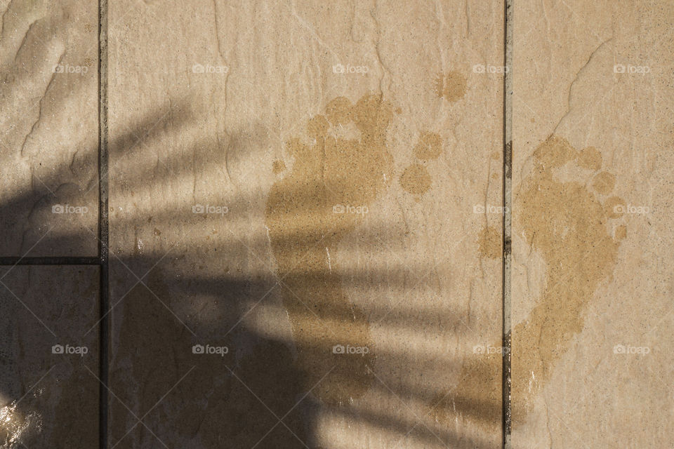 Footsteps of wet feet and the shade of a palm tree by the pool