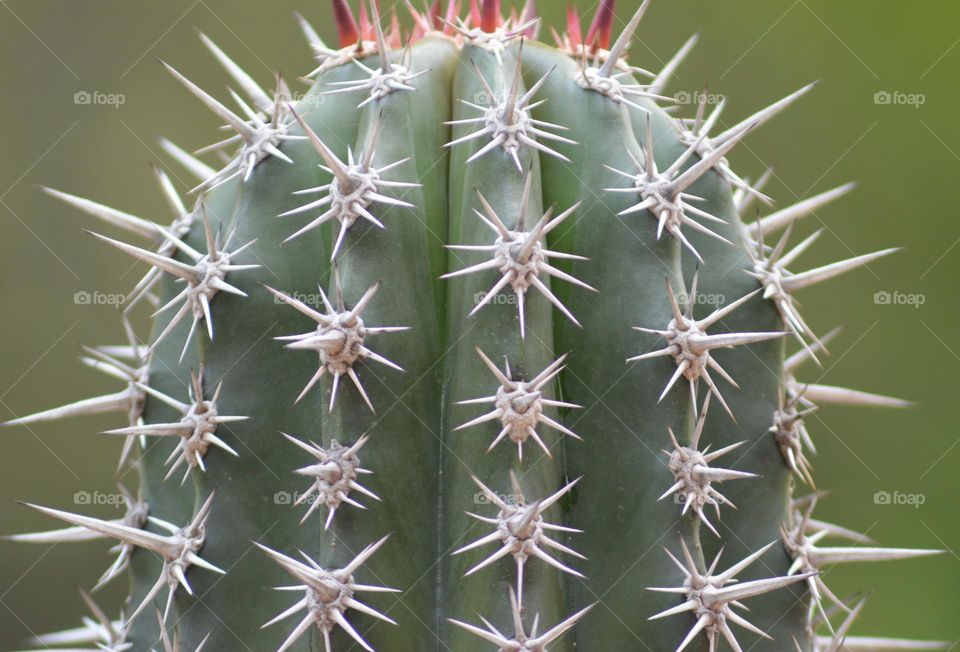 Editor's Choice: Photo of the Week