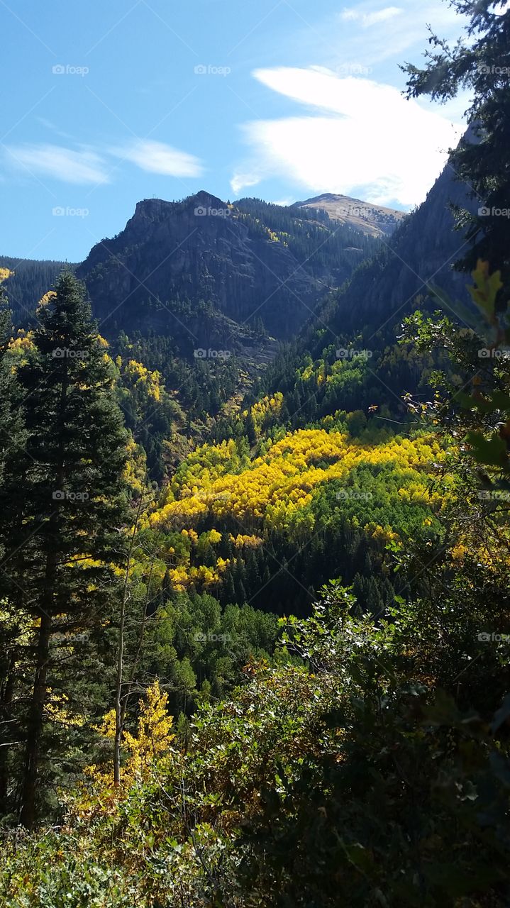 No Person, Wood, Tree, Mountain, Nature