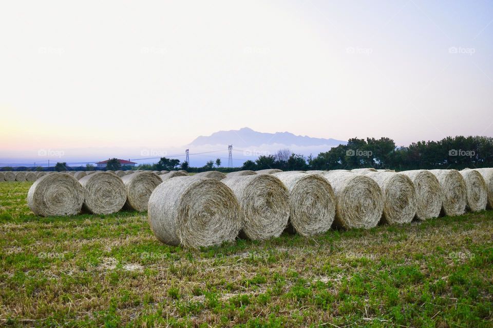 Multiverse hay bales 