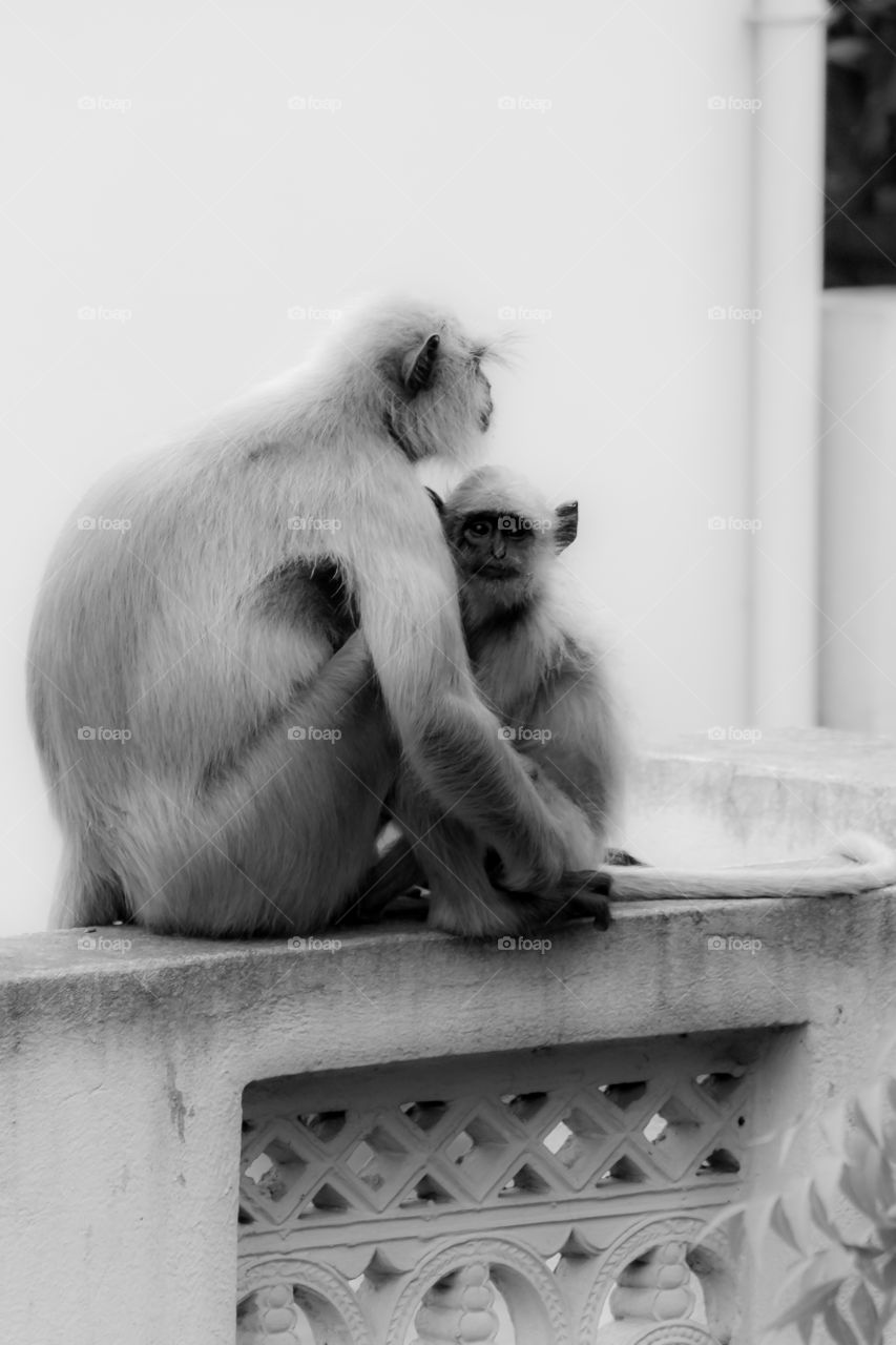 Mom & her little son