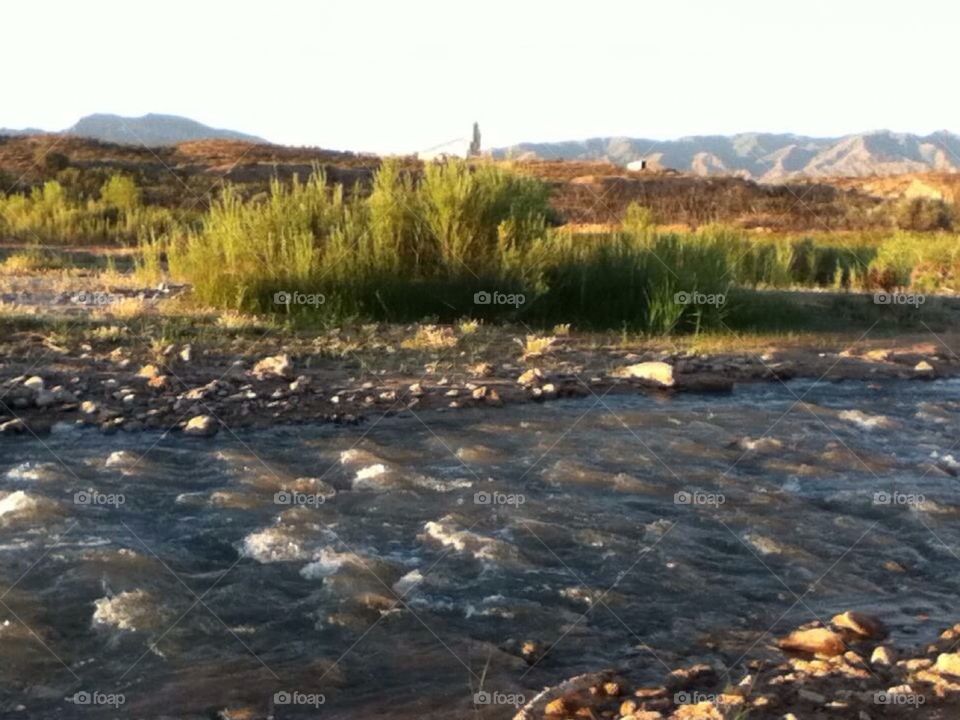 Virgin River - Nevada