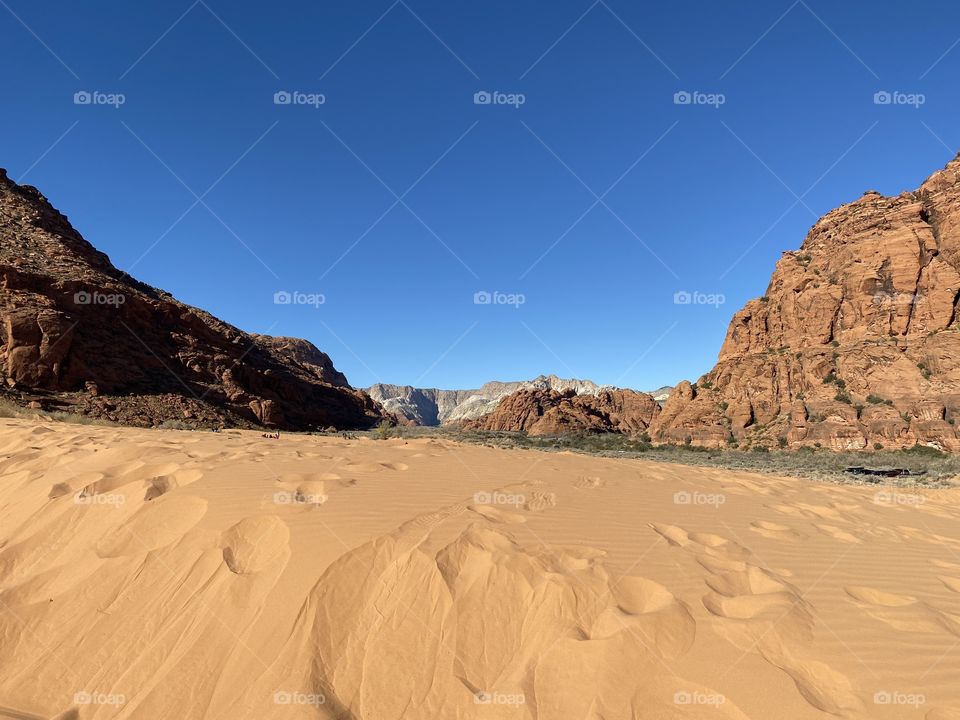 Desert