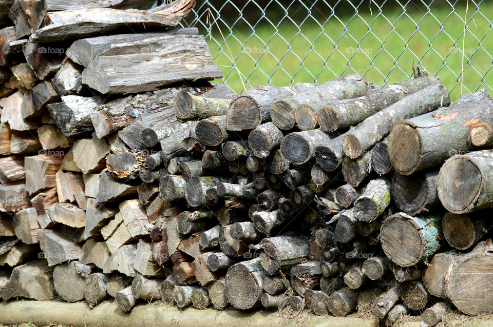 Stacked firewood