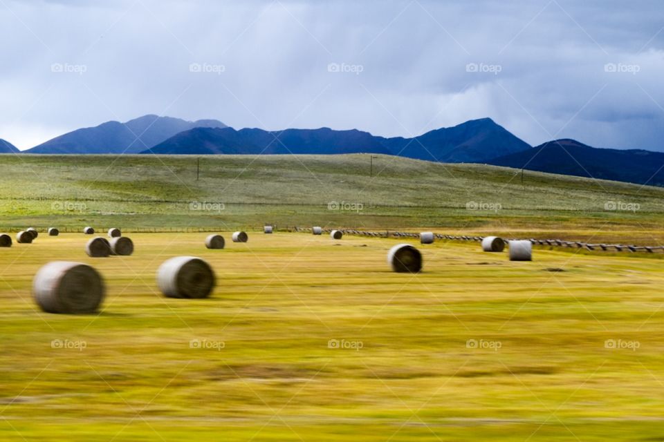 hay stack