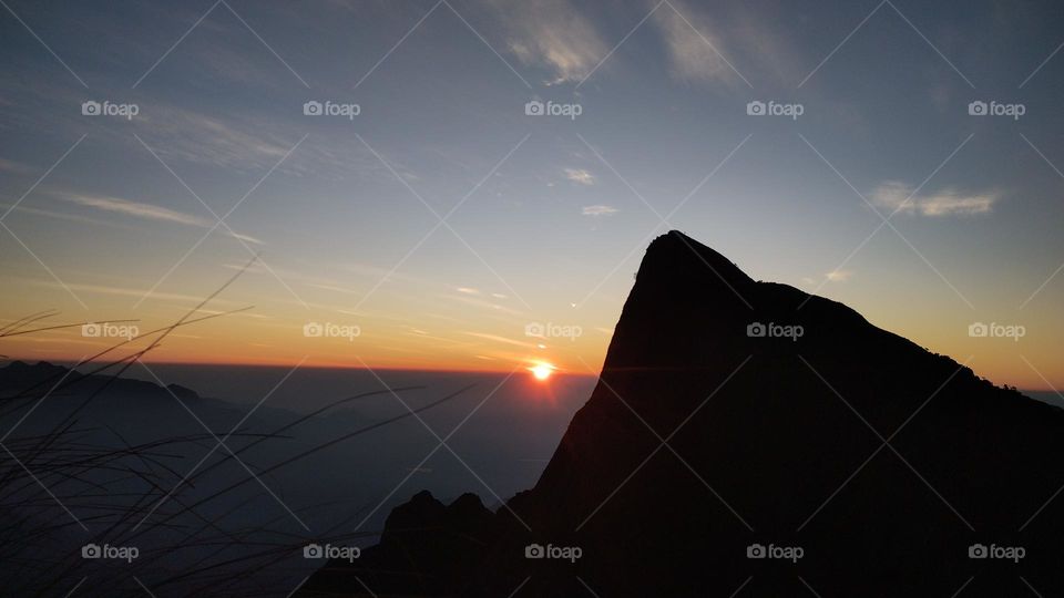 Nature does not hurry, yet everything is accomplished."