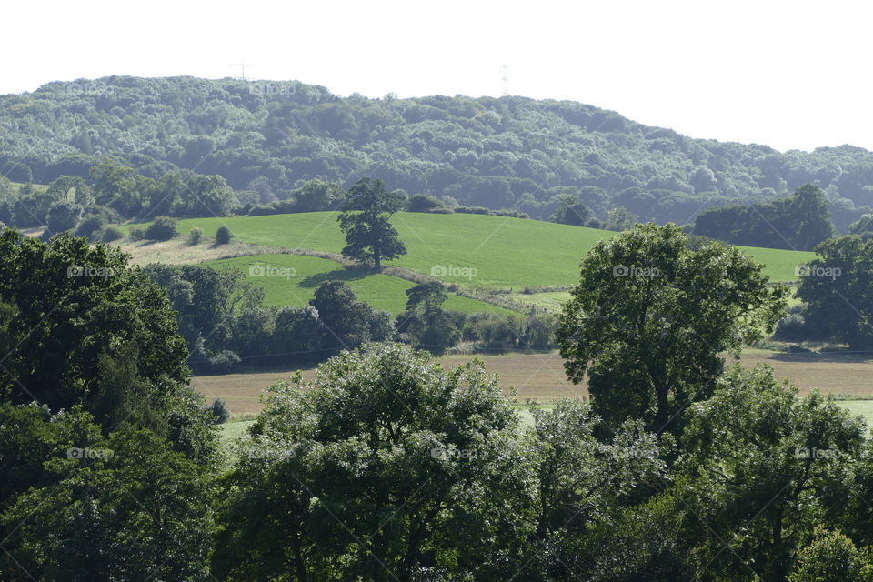 Cotswolds