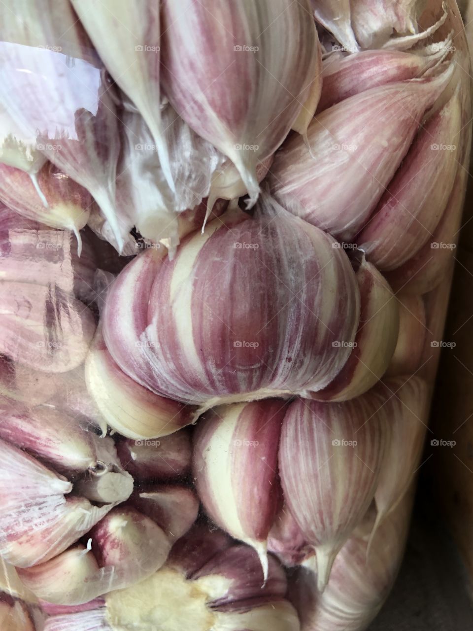 Garlic 