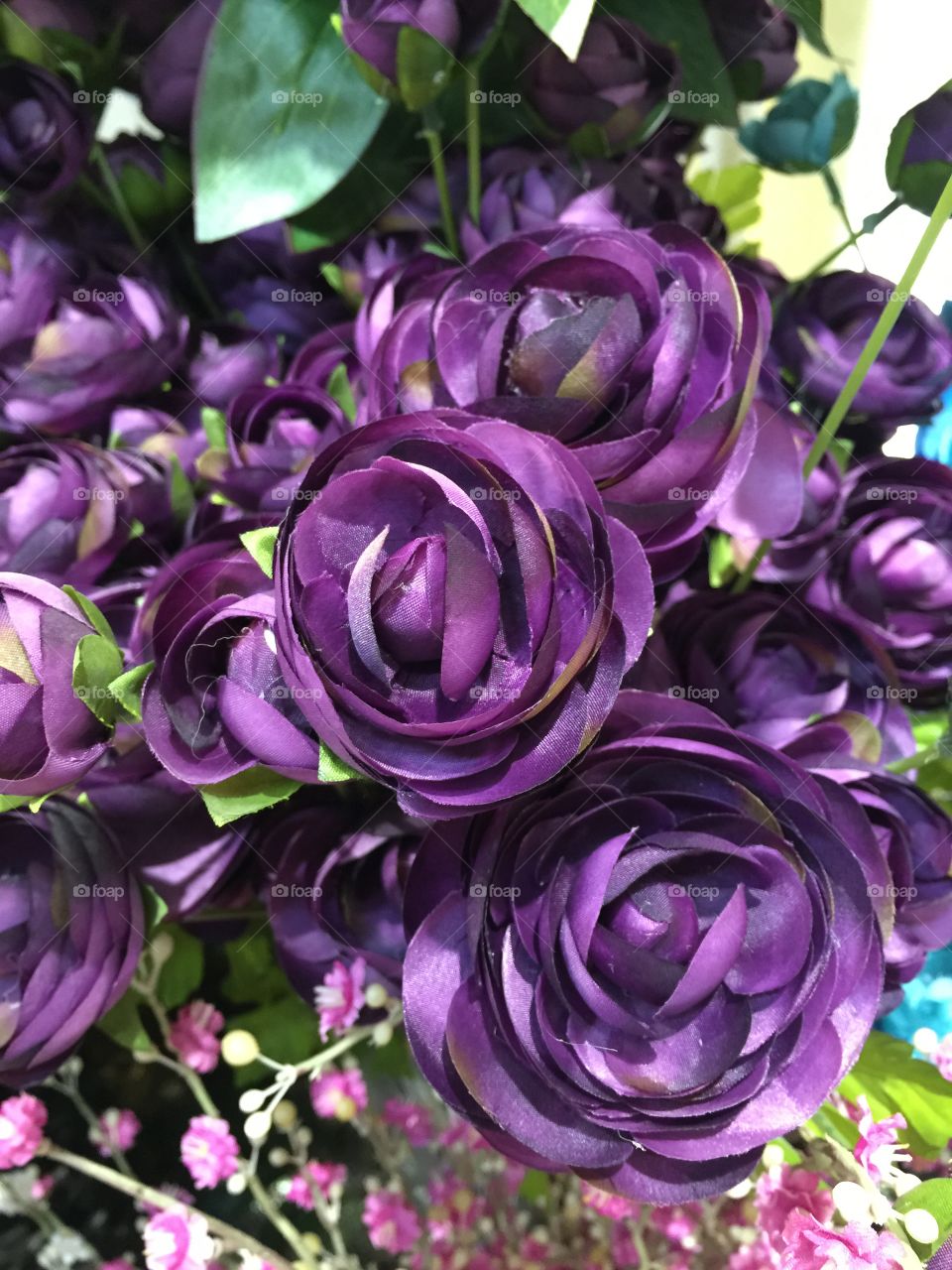 Beautiful flowers close up