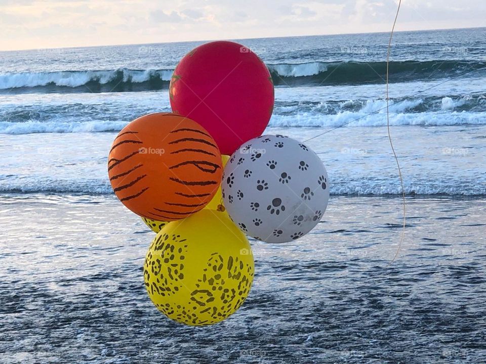 multicolor balloons