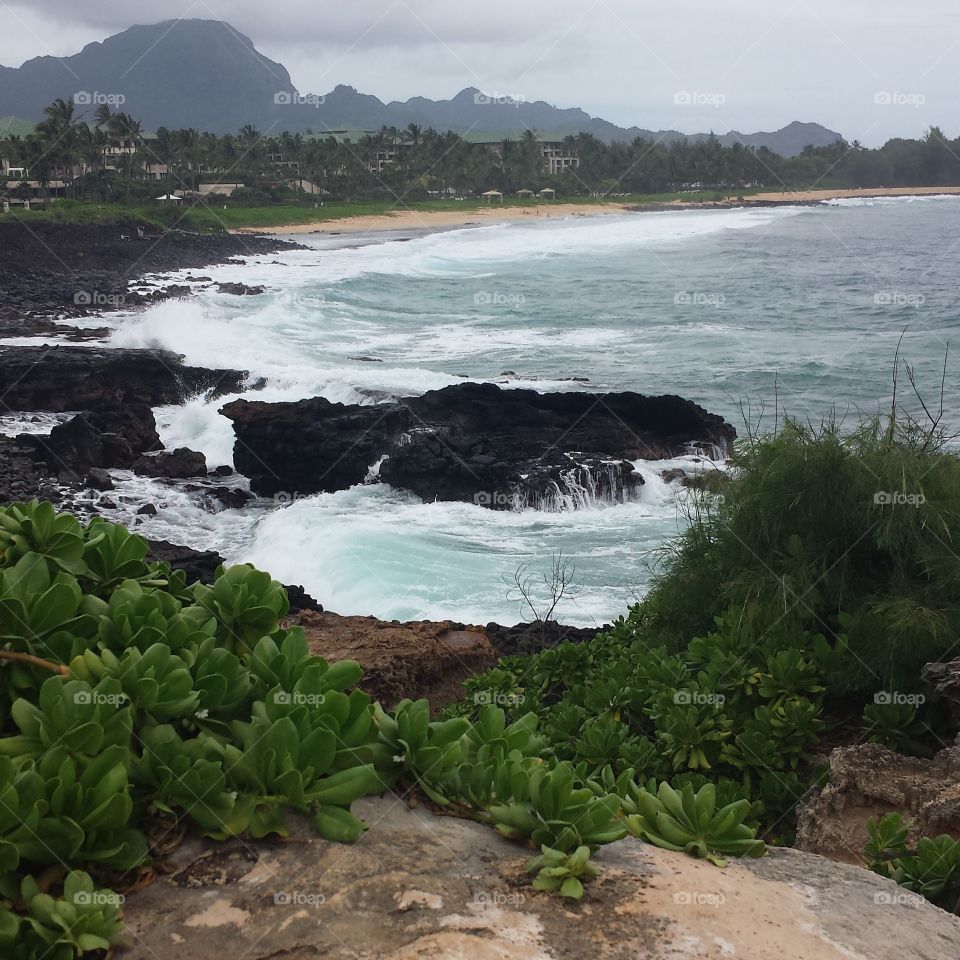 A Maui View. Found this perfect spot in Maui to meditate.  Nature's beauty to calm the soul ... Namaste!