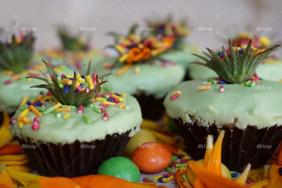 Decorative green cupcakes