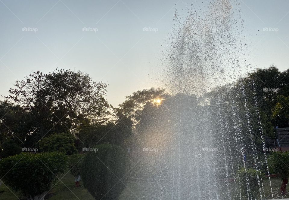 Sprinkle water with sunsets