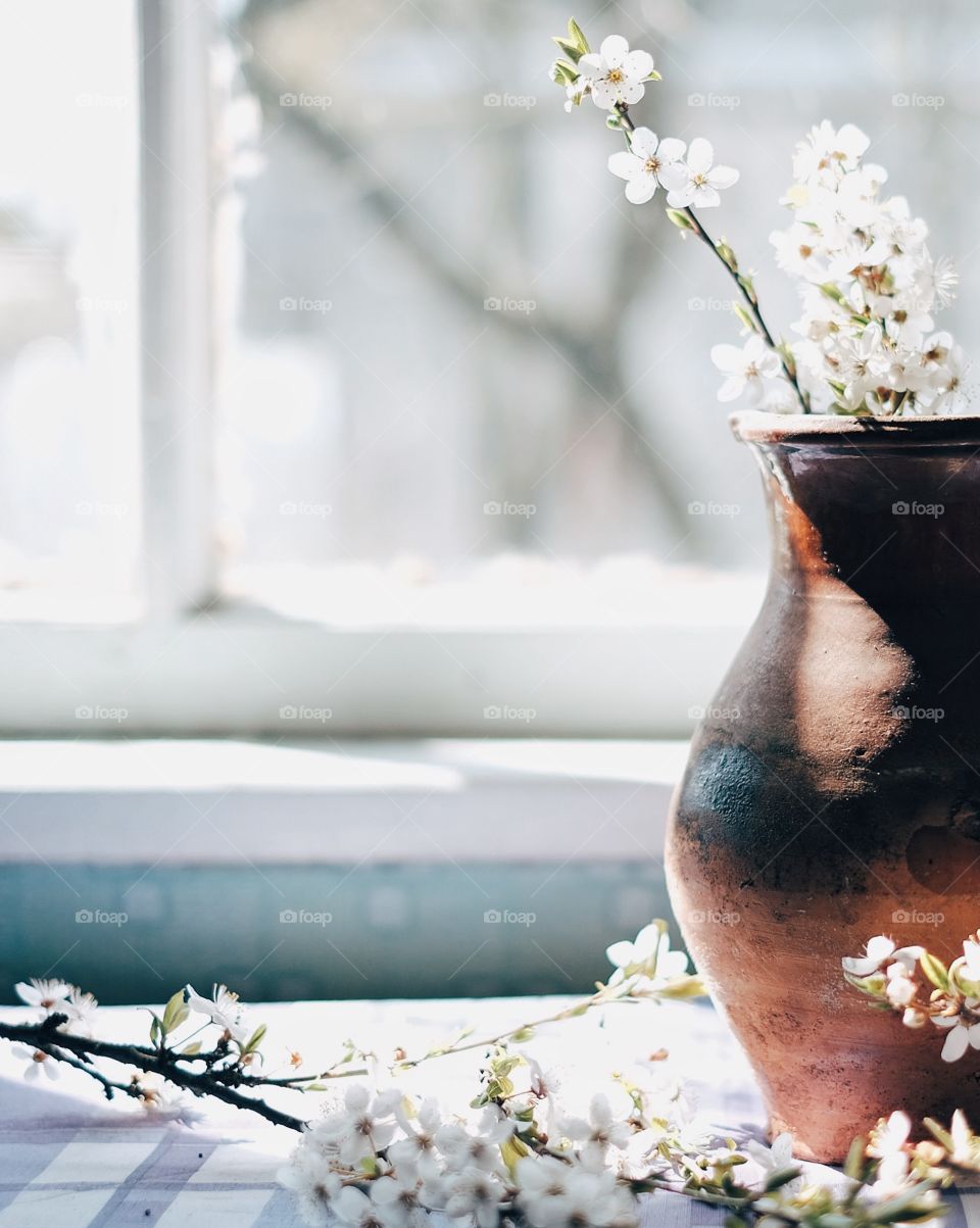 A flower pot near the window