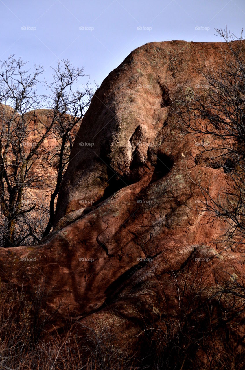 Bare tree near rocky mountain