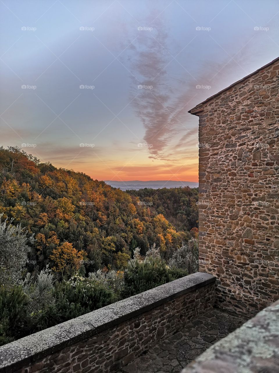 The house of Leonardo