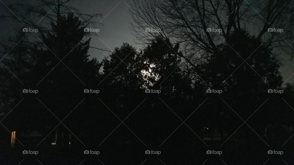 before the sun, Black Friday