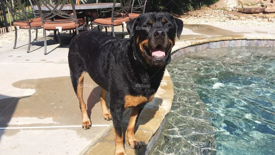 Capone