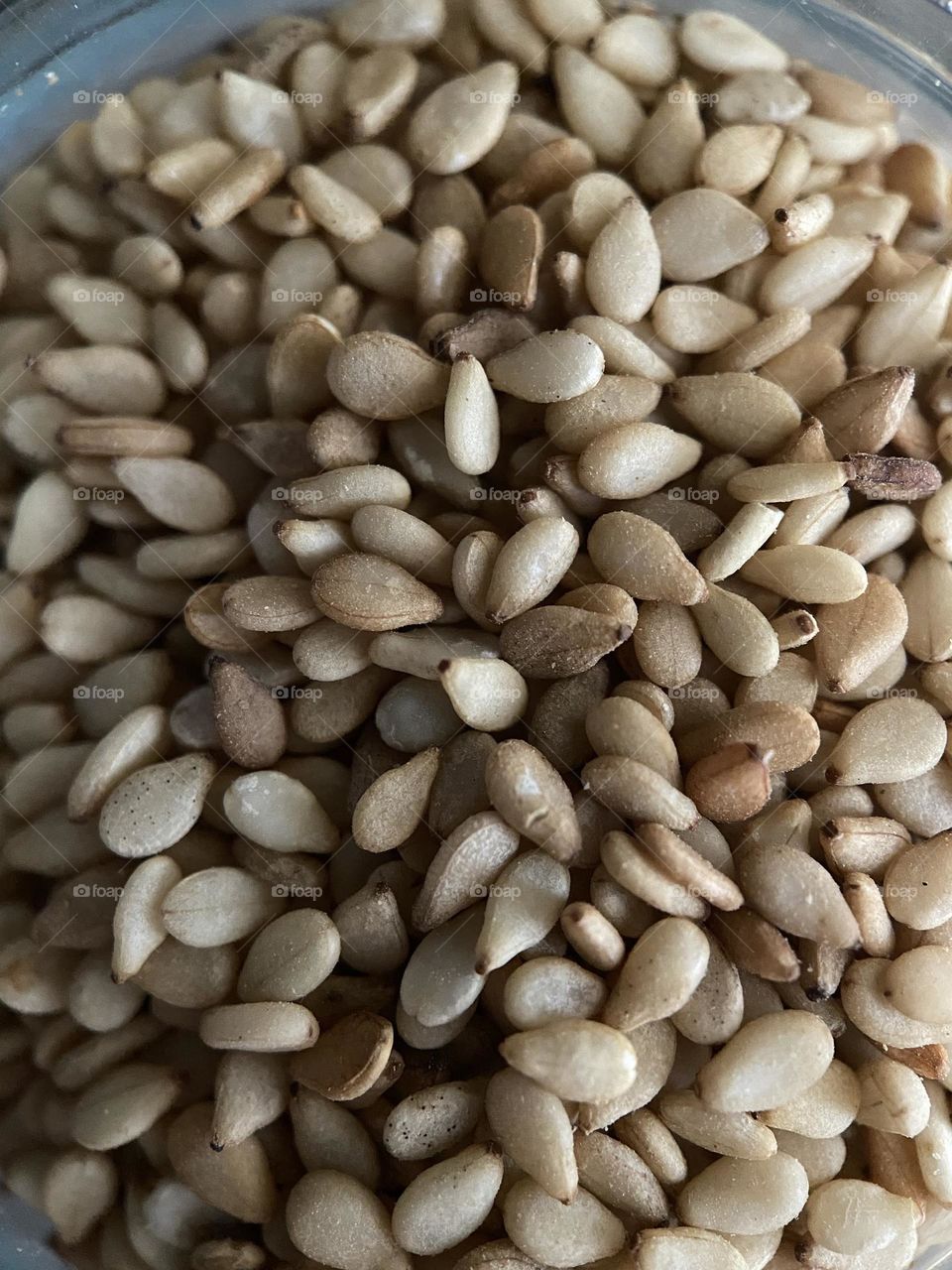 Dried sesame seeds, non roasted spice
